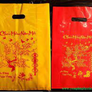 Bao Hột Xoài Pe In Chúc Mừng Năm Mới