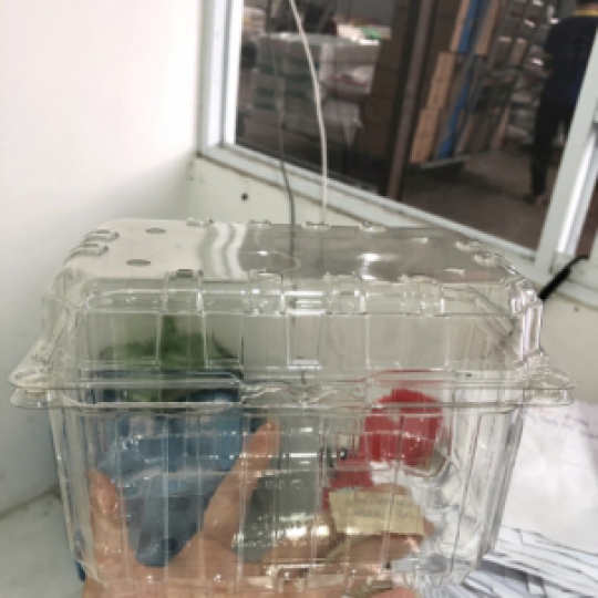 HỘP TRÁI CÂY 1KG